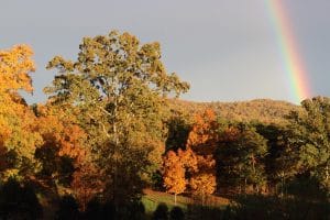 Fall mountain leaves with rainbow