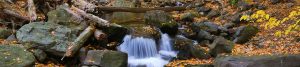 contact page header image of a mountain stream