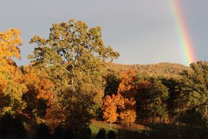 Fall mountain leaf colors with rainbow